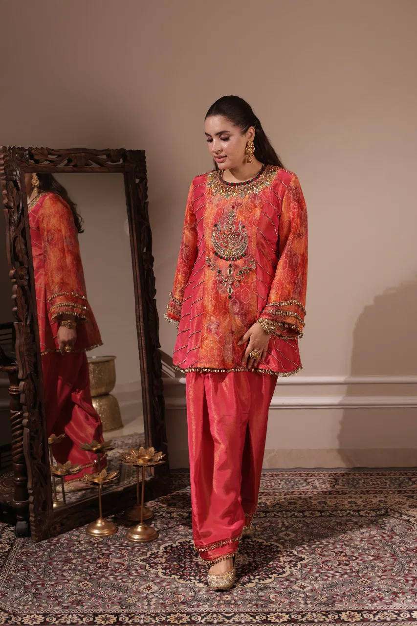 elegant tissue a-line suit set with handwork neckline thumbnail 3