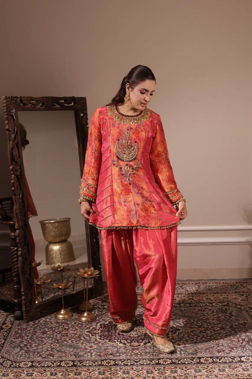 elegant tissue a-line suit set with handwork neckline